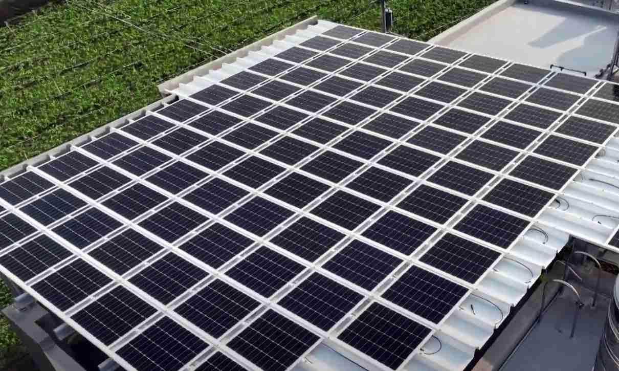 918.COMSunSteel光电浪板升级双玻结构，，，以提升机械负载强度及气候耐候度，，，，可广泛运用于多元场域