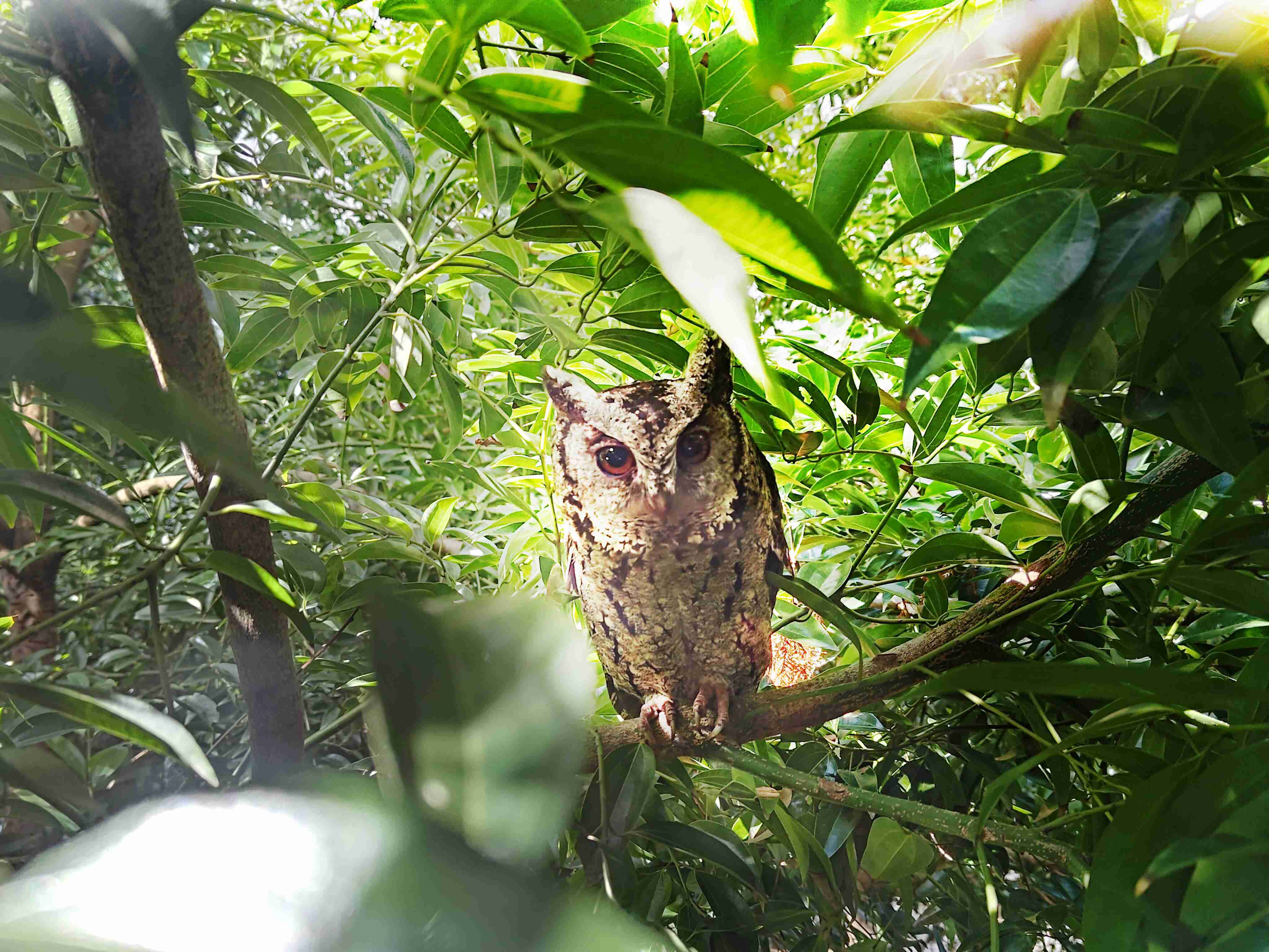 918.COM致力提倡净零绿生活，，，，16年以来在全球各厂区植树逾百万棵，，，，造就各厂区树木蔚然成林，，，，犹如森林工厂，，，成为许多生物的栖息地